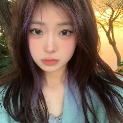 盗贼生涯