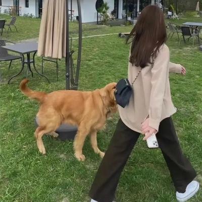 他的模样